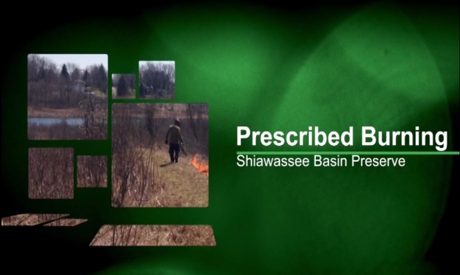prescribed burn informational presentation